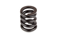 Team Associated B44 SLIPPER SPRING