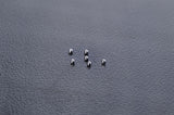Koswork 5/64" 2mm Japan Precision Differential Thrust Balls (w/container) (6) (B6 Series & Associated 2WD Cars)