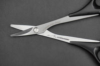 Koswork Lexan Body Curved Scissors